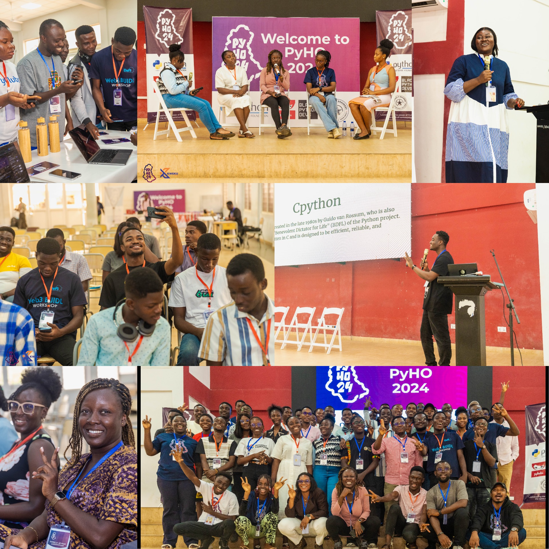 PyHo 2024 Collage